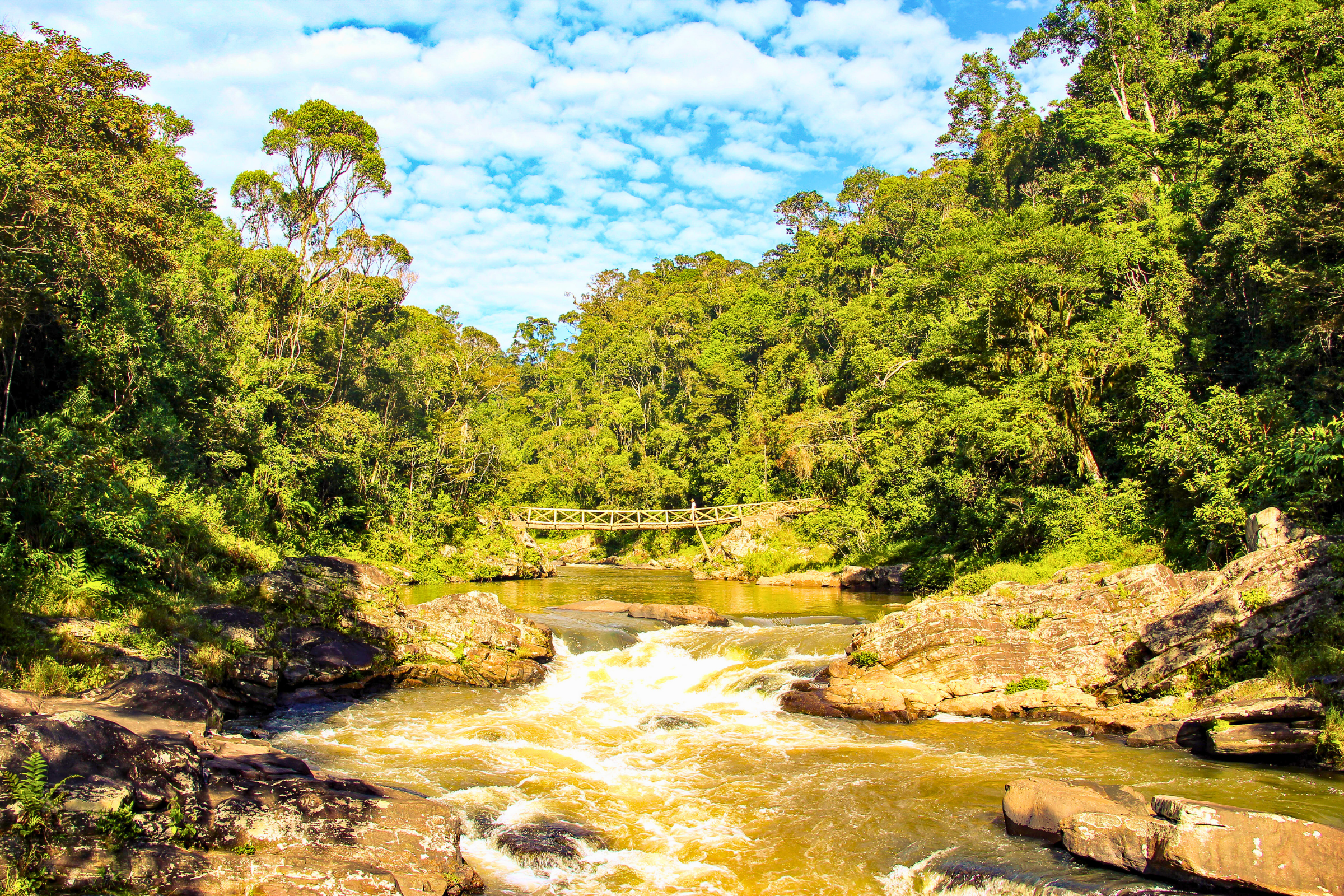 ranomafana (2).webp